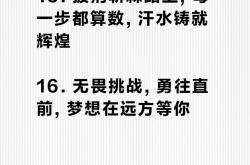 关于阿拉维斯披荆斩棘，坚定走向胜利的信息