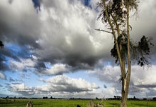 生死战巴黎大师赛前瞻：赵继伟伤情更新，热刺冲击连胜纪录的简单介绍